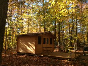 Fall Cabin2